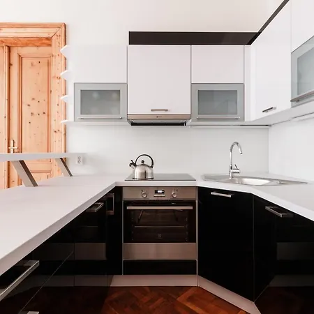 Apartament Days - Spacious Retro-vibes Near Charles Square *
